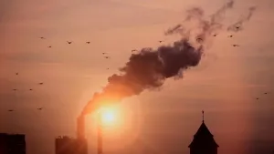 Een foto van een oranjegele lucht. In de voorgrond is naast de ronde, oranjegele, gloed van de zon de vorm van een pijp op het dak van een fabriek te zien. Er komt een donkere rookwolk uit, die deels hangt in een gedeelte van de lucht waar vogels vliegen.