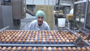 Een foto van Janouk die in een fabriek staat achter een soort lopende band vol met bruine eieren op een blauwe ondergrond. De band loopt langs metalen buisjes heen. Ze kijkt richting de camera en draagt een witte jas en lichtblauw haarnetje.