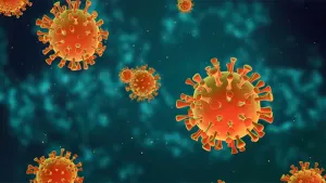 Wat is een virus?