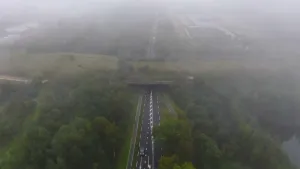 Een foto vanuit de lucht genomen met lichte mist of door witte wolken heen. Onderop is een groot ecoduct te zien, dat over een autoweg loopt. Een ecoduct is een soort brug, bestaande uit gras en andere groene natuur, waar dieren overheen kunnen lopen.