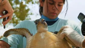 Julieta & de schildpadden in de plastic soep