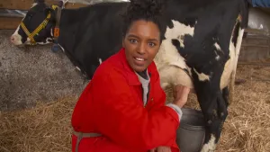 Een foto van Sosha in een rood pak die naast een zwart-witte koe gehurkt zit in het stro. Ze zit naast de roze uiers van de koe, waar een metalen emmer onder staat. Sosha kijkt naar de camera en wijst met haar hand in de richting van de uiers van de koe.