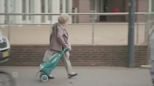 Hoe word je gezond 100?