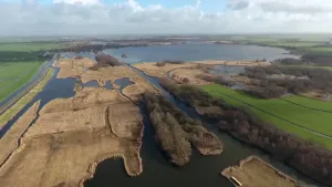 Laagveen in de Nieuwkoopse plassen