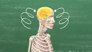 Een tekening van een lichaam van een mens zonder huid vanaf de borstkas te zien. Het skelet en roze gekleurde stukken zijn te zien bij tandvlees, slokdarm en kaak. Er wijzen twee gekronkelde, witte pijlen naar de geelgekleurde hersenen van het skelet.