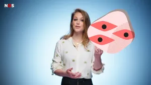 Een foto van Sophie met ernaast een tekening die onze spiercellen uitbeeld, waarmee we ons bewegen. Vier rode vakjes met een zwart rondje erin, die bijna de vorm van een oog hebben, staan in een gekronkelde roze vorm waar kleine, rode puntjes instaan. 