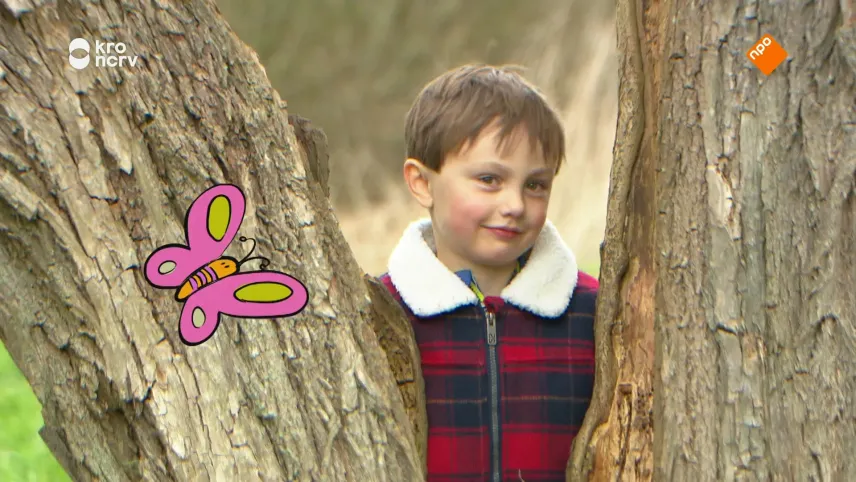 Een foto van een jongetje dat tussen twee bomen staat en richting de camera kijkt. Links in beeld zie je een getekende roze vlinder.