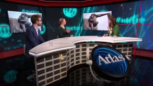 Een foto van een tafel in de vorm van een halve cirkel, waarachter drie mensen zitten. Erachter hangen twee beeldschermen met daarop dezelfde foto van een zwarte aap, een chimpansee, die op een houten paal zit en één hand op een andere paal heeft liggen.