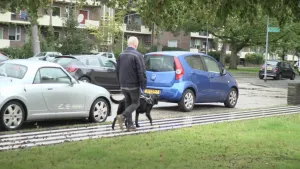 Een foto van Maikel die op zijn rug zichtbaar is en met een zwarte hond over een grijs pad met witte strepen erop loopt. Hij heeft de hond vast aan een zwart tuigje, een soort handvat. Maikel ziet slecht en de hond helpt hem veilig op straat te lopen.