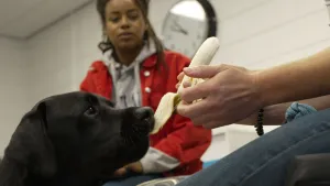 Een foto van presentator Eva die naar een hond kijkt die een banaan aan het pellen is die door iemand vastgehouden wordt. 