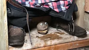 Een foto van iemand die op een ouderwetse wc zit. Je ziet alleen de broek die op de schoenen ligt. Tussen de schoenen ligt een bolvormige drol. De drol heeft twee ogen en een mond.