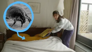 Een foto van een presentator bij een bed met een wit laken. De presentator tilt een kussen op van het bed en kijkt naar de camera. Links staat een zwart-wit foto van een huisstofmijt in een blauwe cirkel waar een pijl aan vastzit die naar het bed wijst.