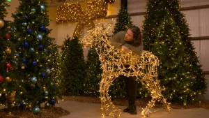 Een foto van presentator Pascal die binnen tussen kerstbomen in op een namaak hert leunt die vooral opgebouwd is uit lichtjes.
