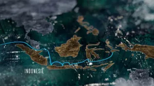 Een foto van een landkaart van Indonesië zonder plaatsnamen maar met de landnaam "Indonesië " eronder. . Tussen de bruingekleurde eilanden van Indonesië loopt in het groengekleurde water een lichtblauwe, kronkelende lijn. 