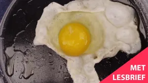 Een foto van een gebakken ei in een koekenpan.  Rechtsonder staat de tekst 'met lesbrief'.