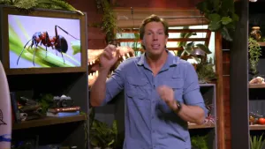 Een foto van presentator Freek naast een beeldscherm waarop heel groot een mier te zien is. Onder het scherm en achter Freek zijn kasten met spullen en veel planten.