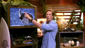 Een foto van bioloog Freek in een houten hut. Hij kijkt in de camera en wijst naar een beeldscherm. Daarop zie je een grote loopvogel, een Helmkasuaris. 