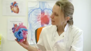 Een foto van hartspecialist Monique Jongbloed in een witte doktersjas die een voorbeeld van de binnenkant van het menselijk hart vastheeft. Het voorbeeld is voor de helft blauw en de helft roze en in beide delen zit een gat, een hartkamer. 