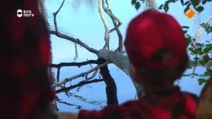 Een foto van een landschap wat onder water staat en waar een grote tak over hangt. Op de voorgrond is het achterhoofd en schouders te zien van een jongetje.