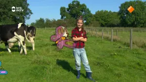 Een foto van een meisje die met haar armen over elkaar in een weiland tussen de koeien staat. Een illustratie van een vlinder vliegt voor haar.
