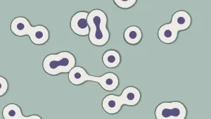 Hoe is het leven op aarde ontstaan?