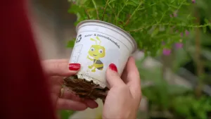 Een foto van iemand die een bloempot vasthoudt waar een plant in zit. Op de bloempot staat de Duitse tekst "natur- & bienenfreundlich" ofwel "natuur- & bijenvriendelijk" in het Nederlands.