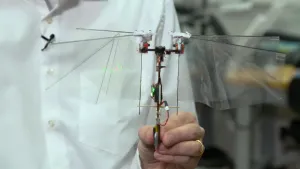 Een foto van een hand die een klein vliegrobotje vastheeft met dunne, zwarte en rode stangetjes en elektriciteitsdraadjes. Bovenaan zitten aan beide kanten twee uitgestoken stangetjes met doorzichtige velletjes eraan, een soort vleugels. 