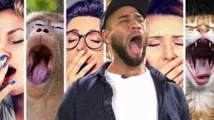 Een foto van Edson die met wijd open mond gaapt. Hij heeft een blauwpaarse blouse en pet op en een wit t-shirt onder de blouse. Van zes plaatjes achter Edson zijn er vijf te zien: drie gapende vrouwen, een gapende aap en een gapende kat.