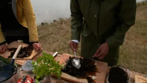 Een foto van een grasveld aan het water, waar een tafel opstaat met twee mensen erachter. Op de tafel staat bruin zeewier waar in het midden op een plank sushirijst op gedaan wordt met een lepel, naast een plantje met groene blaadjes en een koekenpan.