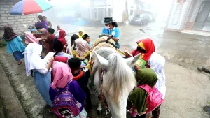 Een foto van Ridwan, het "biebpaard". Het is een paard dat veel boeken draagt. Het staat op straat en eromheen zie je allemaal vrouwen en kinderen die boeken inkijken. Op de achtergrond zie je mist.