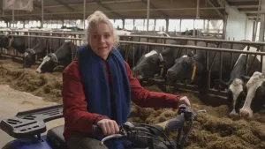 Een foto van presentator Janouk. Ze is op bezoek in een koeienstal en zit op een vierwielige motorfiets. Ze kijkt in de camera. Op de achtergrond zie je allemaal koeien die stro eten.