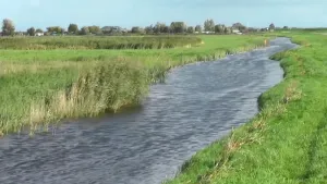 Een foto van een brede sloot tussen weilanden. In de verte zie je enkele boerderijen. 