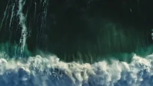 Een foto van diertjes en plantjes in de zee. Ze zijn heel klein en niet met het blote oog te zien. Je ziet ze wel op deze foto. Sommige zijn groen en andere zijn doorzichtig. Ze kunnen allerlei vormen hebben.