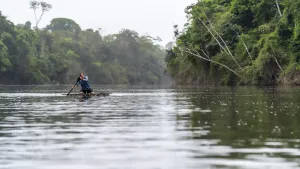 Een foto van een rivier in het Surinaamse oerwoud. Bioloog Freek peddelt op deze rivier, in de richting van de camera.