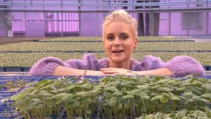 Een foto van Janouk die in een kas haar armen heeft liggen op een rek met blauwe bakjes. Het zijn bakjes met groene blaadjes en stengeltjes van microgroenten, allemaal plantjes van een paar dagen oud die net zijn begonnen te groeien of ontkiemen. 