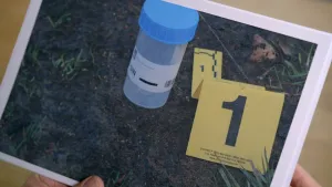 Een foto van een stapel foto's die iemand vasthoudt. Op de bovenste foto zie je een stuk grond met daarop een geel bordje met het cijfer "1". Daarnaast staat een doorzichtig plastic bakje met een blauw deksel. 