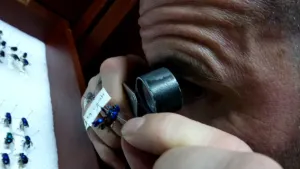 Een foto van het hoofd van een man. Hij kijkt naar een dode vlieg door een klein vergrootglas. De vlieg is op een naald geprikt. Op de achtergrond zie je allemaal opgeprikte vliegen. 