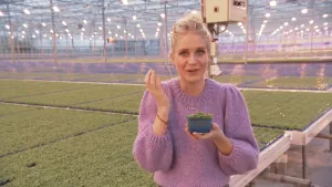 Een foto van Janouk in een kas vol met groene plantjes die op verhoogde tafels staan. Janouk heeft een klein vierkant plastic bakje met een groen plantje erin vast. Het is een microgroente, een eetbaar plantje wat heel snel geoogst wordt, zoals tuinkers.