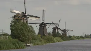 Een foto van vier molens aan de waterkant. Het zijn de molens van Kinderdijk. De molens hebben ieder vier wieken en zijn zwart tot donkergrijs van kleur. Voor de molens zijn groene struiken aan de waterkant te zien en voor de voorste molen een steiger. 