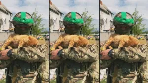 Een foto van een militair met een Oekraïens uniform aan. Zijn gezicht is grotendeels bedekt. Een kat ligt in zijn armen. Ditzelfde beeld zie je drie keer naast elkaar. 