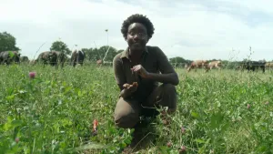 Een foto van presentator Tirsa die op een grasveld zit waar allemaal soorten onkruid op groeit. Op de achtergrond zijn veel koeien te zien.