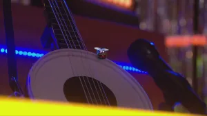 Liedje uit De Boterhamshow