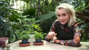 Een foto van Janouk die achter een tafel staat met drie plantjes erop van de plantensoort kruidje-roer-mij-niet, ook wel mimosa genoemd.  Haar rechter wijsvinger beweegt omhoog op de foto, omdat ze op het punt staat het plantje over de bladeren te aaien.