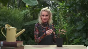 Een foto van presentator Janouk achter een tafel met een plant. Op de tafel staat ook een gieter. Achter haar zijn allemaal bomen.