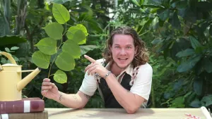 Een foto van presentator Pascal die achter een tafel zit. Hij heeft een tak met grote bladeren in een hand en wijst er met de andere hand naar. Hij kijkt en praat naar de camera. Achter hem zijn bomen.