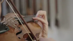 Een foto van een viool die deels zichtbaar is. De viool ligt op de niet-zichtbare schouder van een persoon die de viool bespeelt. De vingers van de persoon liggen rechts op de snaren, links is de strijkstok die de snaren raakt ook deels zichtbaar.  