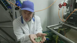 Een foto van presentator Pascal. Hij staat in een fabriek en heeft een witte jas aan. Hij heeft blokjes diepvriesspinazie in zijn handen en toont die aan de kijker. Naast hem zie je nog een stukje van een machine.