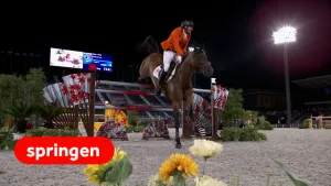 Een foto van een paardrijder of jockey die tijdens een wedstrijd met zijn bruine paard over een hindernis van een houten hek met stalen palen springt. Het paard raakt met de voorste voeten al het zand. De foto is tijdens de Olympische Spelen genomen. 