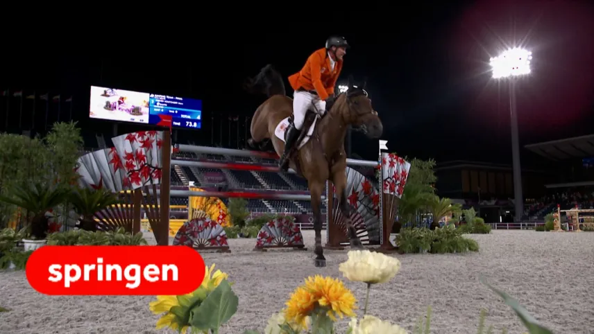 Een foto van een paardrijder of jockey die tijdens een wedstrijd met zijn bruine paard over een hindernis van een houten hek met stalen palen springt. Het paard raakt met de voorste voeten al het zand. De foto is tijdens de Olympische Spelen genomen. 