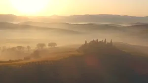 Een foto van een heuvelachtig landschap. De zon staat laag en het is mistig. Er staan wat losse bomen en bomen in rijen.
